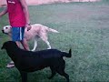 Batizado de Cahorros