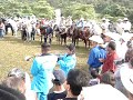 llanito