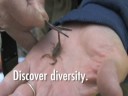 Discover Entomology at Texas A&M University Discover Entomology at Texas A&M University