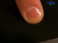 sqizzreviews: Logitech Cordless Desktop Wave Review - Sqizz.com