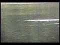 Fish Killers - Salmon fishing in Wrangell Alaska