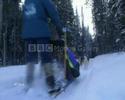 sz�nh�z�s//dog sleigh