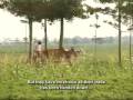 videos de The cost of tobacco - Part 2 - Show 74