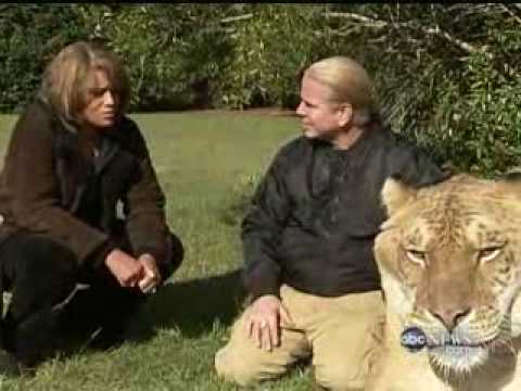 LIGeR +