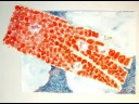 San Globuletto Rosso - Il Tai Chi ematico