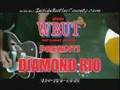 WBUT Diamond Rio Simply Sweet Onion Festival