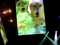 Linkin Park - What Ive Done w/ awesome intro Lexington KY