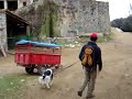 el gorg negre  episodi viii 