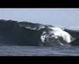 Surfing Tribute to Steve Irwin at Shipstearns