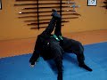 Bujinkan 4 Bujinkan 4