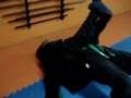 Bujinkan 4