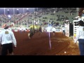 Acabar com Rodeios ???