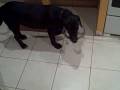 videos de Costa Rica Trip