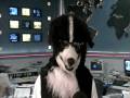 videos de MUTUI