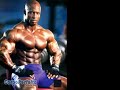 Matéria Celso de Jesus - Musculação / Fisiculturismo Matéria Celso de Jesus - Musculação / Fisiculturismo