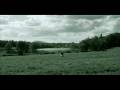 videos de Spotless