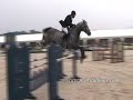 Horses..Ox