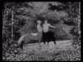 The Centaur