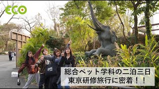 北海道エコ　Youtube Pickup!