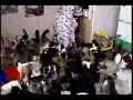 Видео Приколы С Животными!