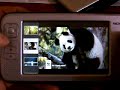 Quiver Image Viewer running on Nokia N800