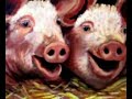 hitchens reads form god is not great  hitch on pigs 