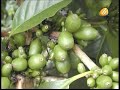 Canto a Mi Huehuetenango (Gonzalo López Rivas) MUSIC VIDEO Canto a Mi Huehuetenango (Gonzalo López Rivas) MUSIC VIDEO