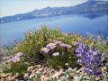 Crater Lake