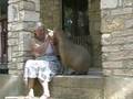 Caplin Rous Begs for a Popsicle
