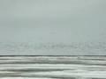 Fort Severn May 2008