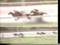 copa-herman-stelling-1981.html