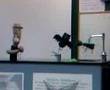 My Biology Class Learns about Natural Selection