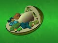 Photosynthesis and Respiration