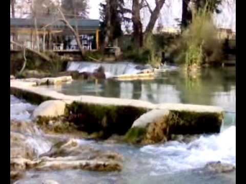 tarsus selalesi