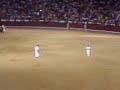 fosby_bull_flop