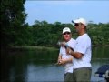 Amazon Peacock Bass Part 1 of 4