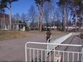 tag parkour/normal parkour