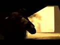 battlefield 2142 -camp gibraltad