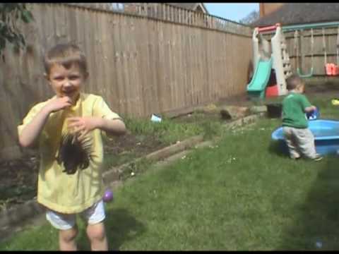Harry and Charlie - When Porcupines and Dinosaurs Attack