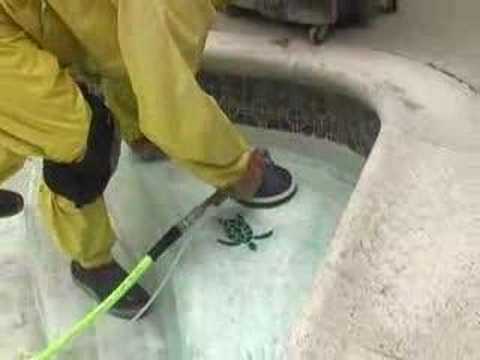 how to drain acid from the body