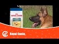 Royal Canin