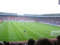 toon toon