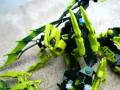 Toa Airko vs Makuta Intor