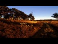 SoundLift - Lenda (Original Mix) [HD]