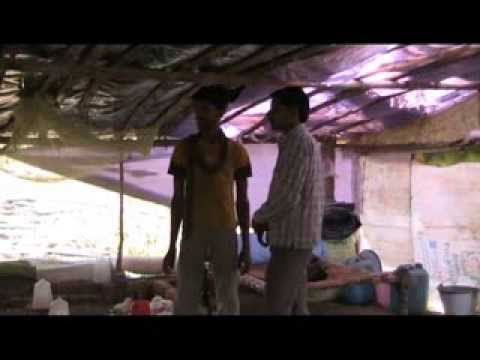 how to poultry farming india