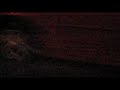 Julie Doiron - No More