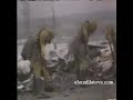 Chernobyl \"Biorobots\"