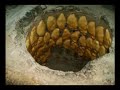 ERZURUM OLTU ARDOS �AMLIBEL (www.ardost.com)