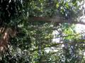 videos de mondika camp 3