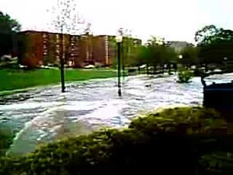 And more flooding - Henry Law Park, ...